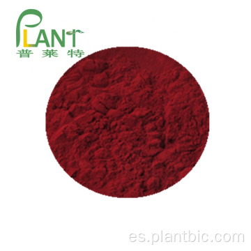 Suministro de fábrica Pure Planta Natural Extractos Elderberry Powder